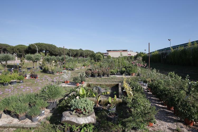 Vivaio MoMà Garden Roma Angoli Verdi