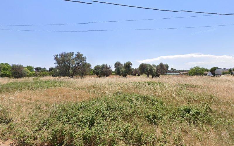 Campo erboso aperto con cespugli alti, qualche albero sparso e linee elettriche in alto sotto un cielo azzurro terso. Edifici o strutture sono visibili sullo sfondo lontano.