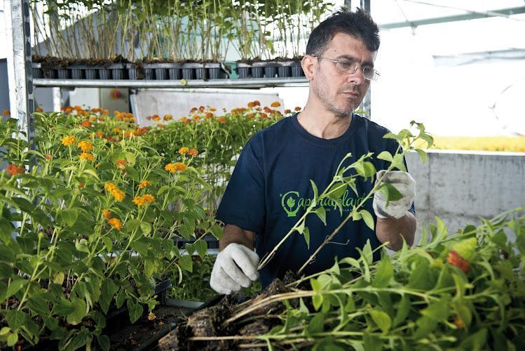 Un uomo che indossa occhiali e guanti si prende cura delle piante in vaso in una serra piena di varie piante da fiore.