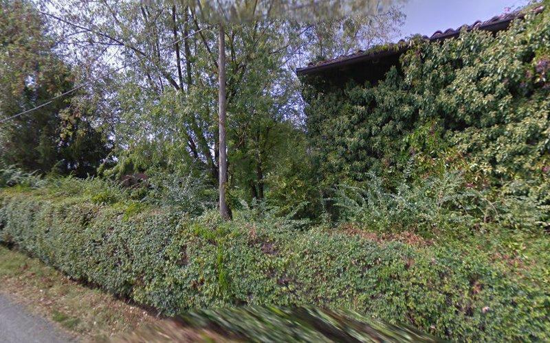 Casa ricoperta da una fitta vegetazione e da viticci, circondata da una siepe rigogliosa e da alberi alti.