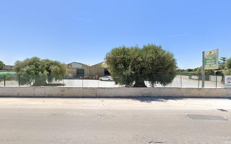 Vista stradale di un grande edificio industriale con un tetto verde, una recinzione circostante e alcuni alberi di fronte. Un'auto parcheggiata è visibile all'interno dei locali. Cielo luminoso e limpido in alto.