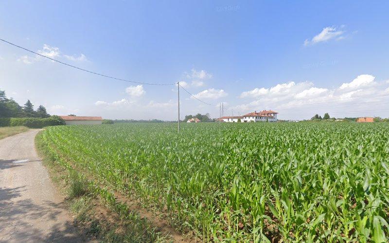 Una strada sterrata costeggia un vasto campo di mais verde sotto un cielo azzurro e terso. In lontananza, si vedono diversi edifici.