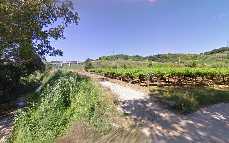 Un sentiero di ghiaia costeggia un vigneto con filari di vite sotto un cielo limpido, e sullo sfondo si può vedere un ponte.