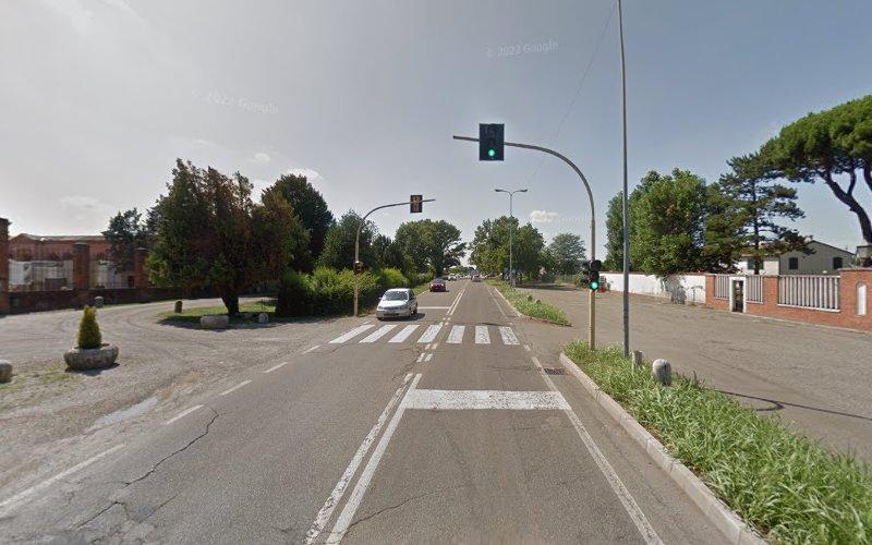 Una strada con un semaforo e le strisce pedonali, circondata dal verde e da qualche edificio. Un'auto è ferma al semaforo e il cielo è sereno.