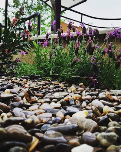 Primo piano di un'aiuola con piccoli ciottoli lisci e fiori viola in fiore, con una ringhiera metallica e una tettoia sullo sfondo.