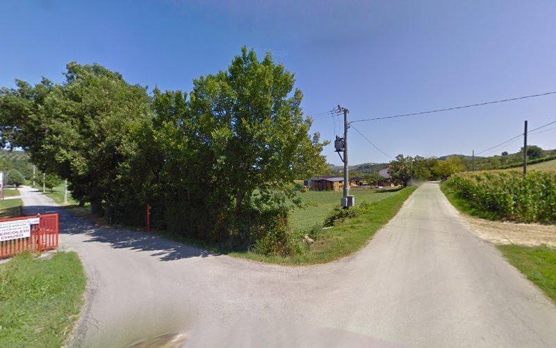 Un incrocio rurale a T con una strada asfaltata che si divide in una strada sterrata alberata sulla sinistra e un'altra strada sterrata che conduce a terreni agricoli aperti sulla destra, sotto un cielo terso e azzurro.