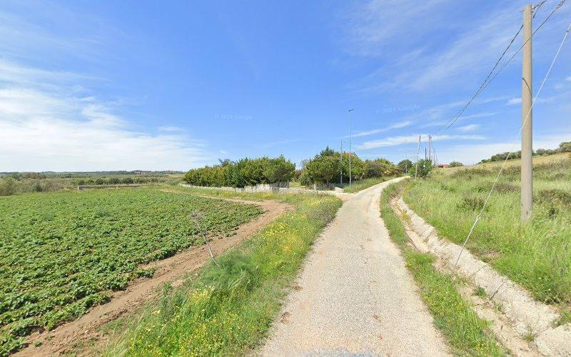 Una stretta strada sterrata attraversa un paesaggio rurale con campi e verde in una giornata di sole, delimitato da linee elettriche e alberi.