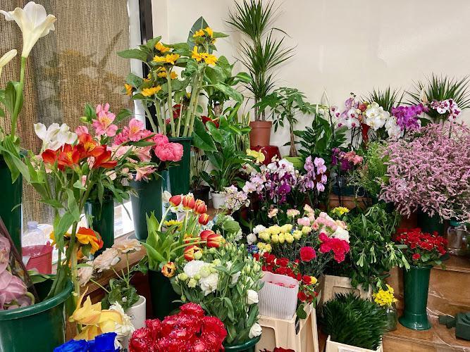 Uno spazio interno ben illuminato, ricco di piante in vaso e fiori colorati, tra cui orchidee, girasoli, rose e altre vivaci composizioni floreali.