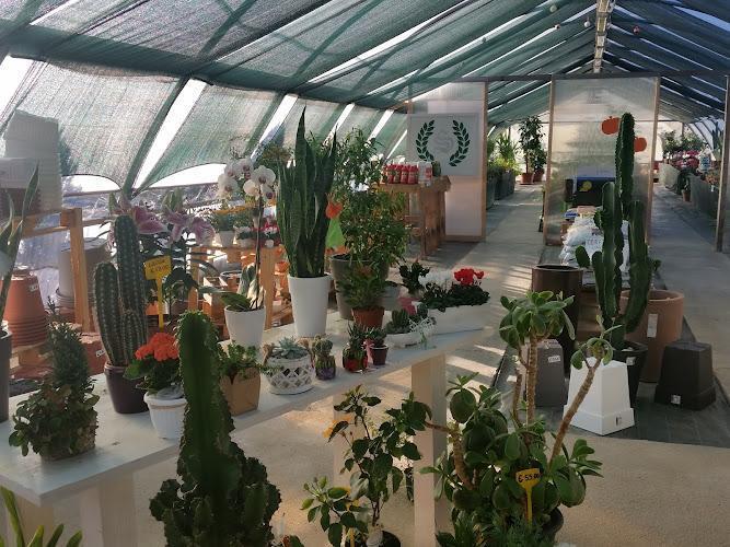 Super Garden vivaio Arezzo Angoli Verdi