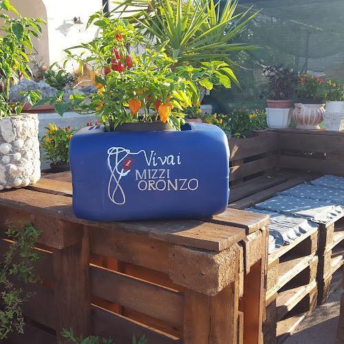 Una fioriera blu con la scritta "Vivai Mizzi Oronzo" contiene vivaci piante di peperoncino. È posizionata su una panca di pallet in legno in un rigoglioso giardino soleggiato.