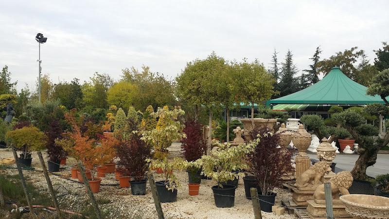 Garden center all'aperto con numerose piante in vaso, alberi e arbusti disposti in file. Sullo sfondo è visibile una struttura a tenda verde.